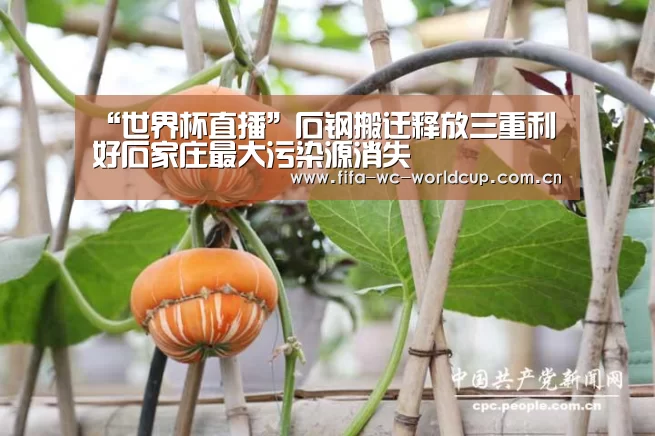 实时比分