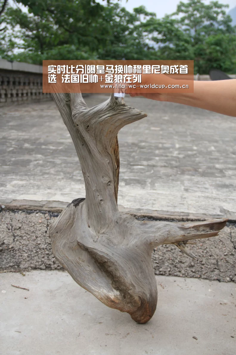 实时比分