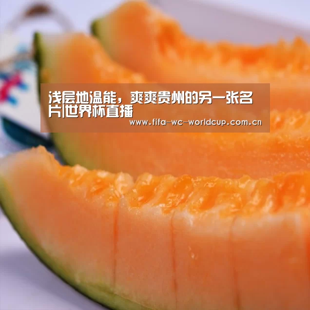 浅层地温能,爽爽贵州的另一张名片|世界杯直播(图2) 世界杯