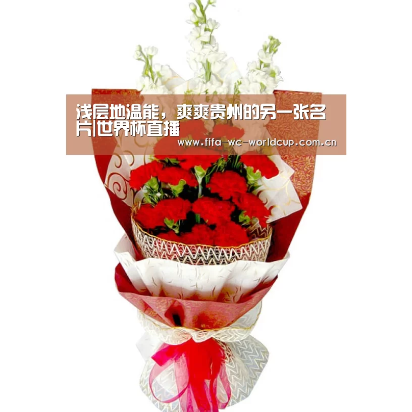 浅层地温能,爽爽贵州的另一张名片|世界杯直播(图1) 实时比分