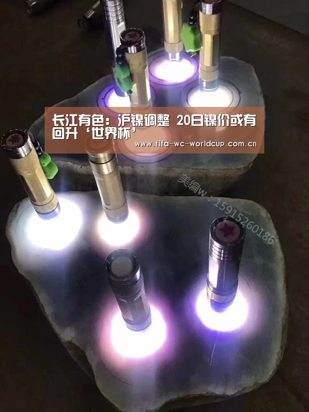 世界杯