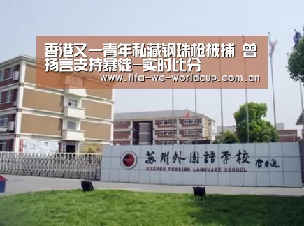 香港又一青年私藏钢珠枪被捕 曾扬言支持暴徒-实时比分(图2) 世界杯