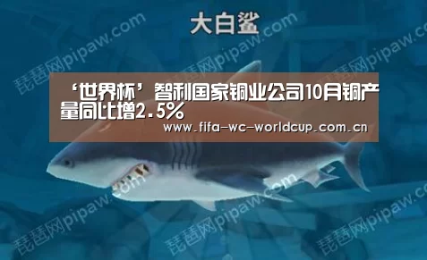 ‘世界杯’智利国家铜业公司10月铜产量同比增2.5%(图1) 比赛集锦