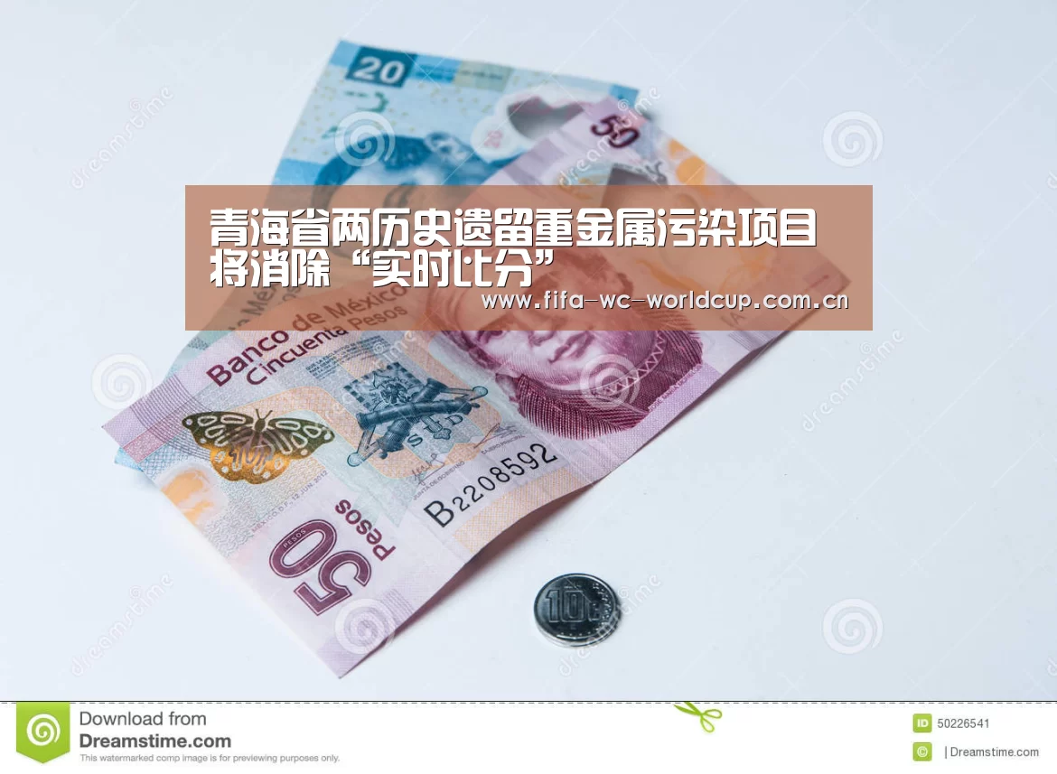 青海省两历史遗留重金属污染项目将消除“实时比分”(图1) 比赛集锦