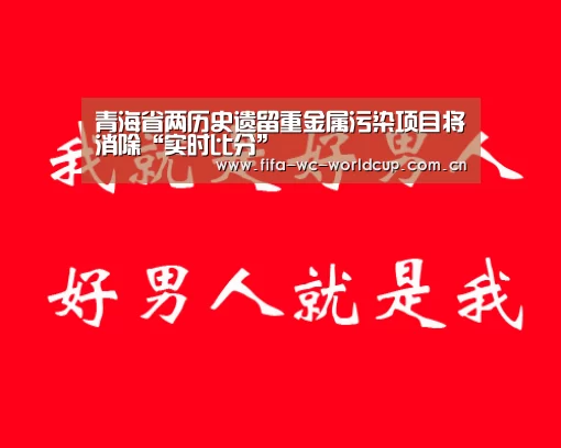青海省两历史遗留重金属污染项目将消除“实时比分”(图2) 比赛集锦