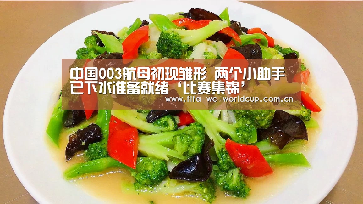 中国003航母初现雏形 两个小助手已下水准备就绪‘比赛集锦’(图1) 世界杯