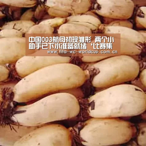 中国003航母初现雏形 两个小助手已下水准备就绪‘比赛集锦’(图4) 世界杯直播