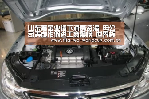 山东黄金业绩下滑募资渴 母公司弄虚作假进工商黑榜_世界杯直播(图3) 世界杯直播
