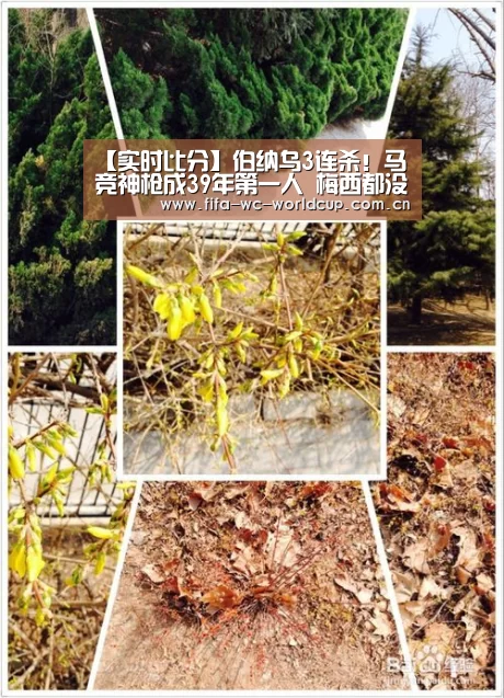 【实时比分】伯纳乌3连杀!马竞神枪成39年第一人 梅西都没做到(图3) 实时比分