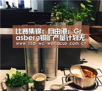 比赛集锦:自由港:Grasberg铜矿产量计划无惧罢工延长(图4) 比赛集锦
