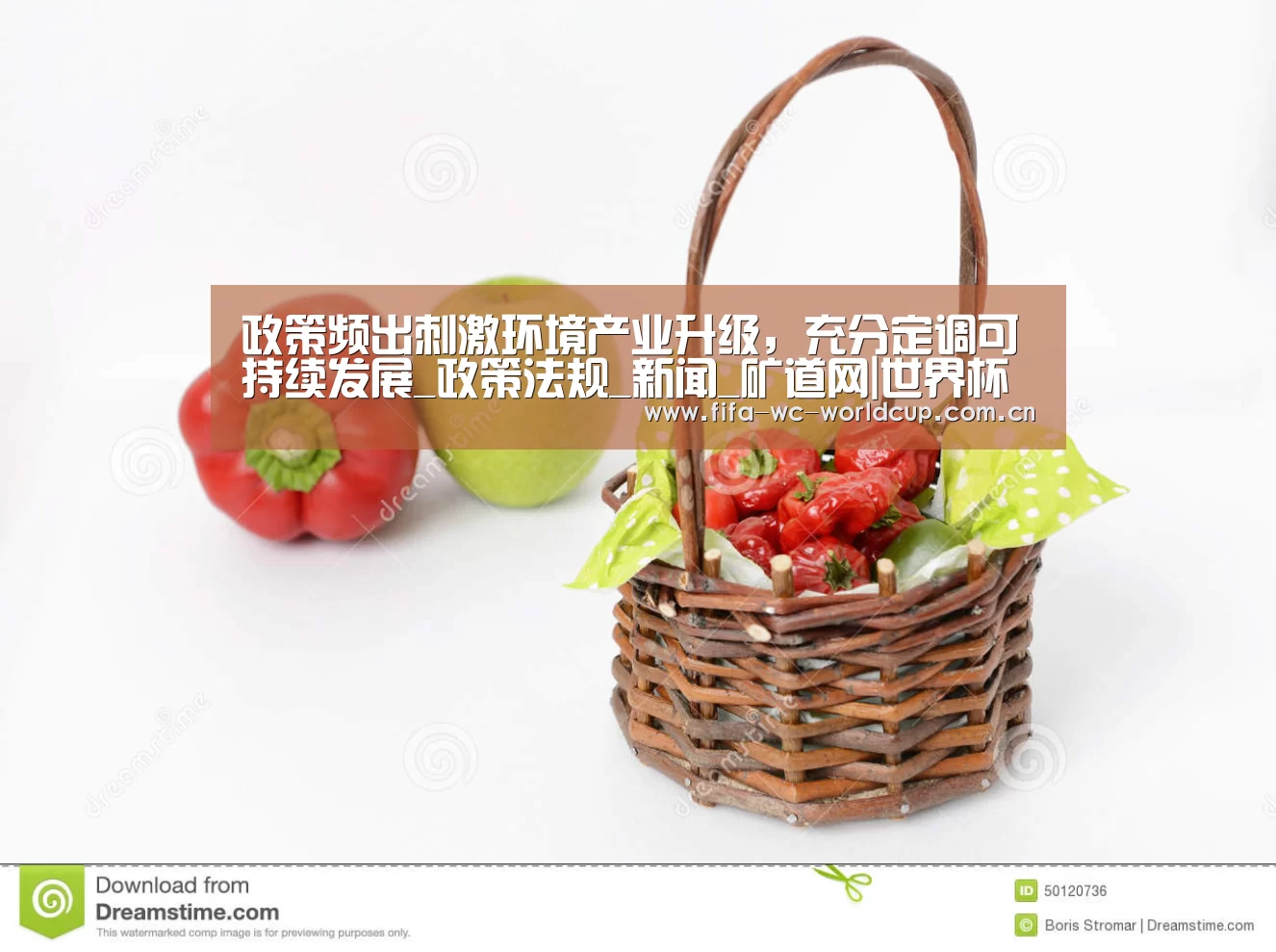 政策频出刺激环境产业升级,充分定调可持续发展_政策法规_新闻_矿道网|世界杯(图2) 比赛集锦