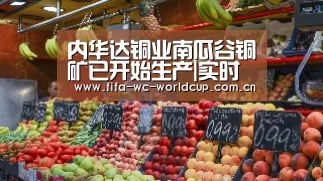 内华达铜业南瓜谷铜矿已开始生产|实时比分(图1) 世界杯直播