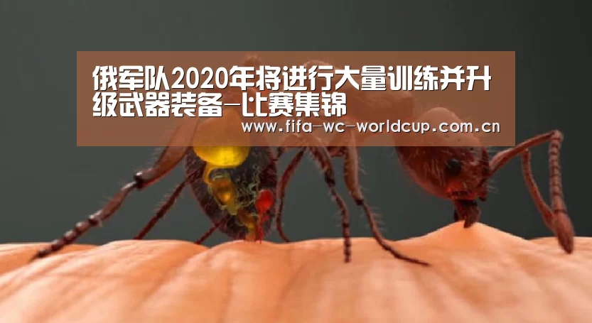 俄军队2020年将进行大量训练并升级武器装备-比赛集锦(图2) 世界杯直播