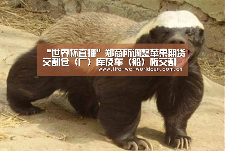 “世界杯直播”郑商所调整苹果期货交割仓(厂)库及车(船)板交割服务机构(图3) 世界杯