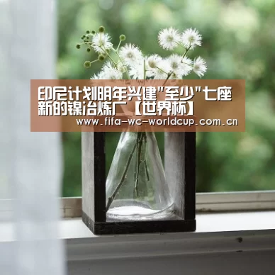 世界杯直播