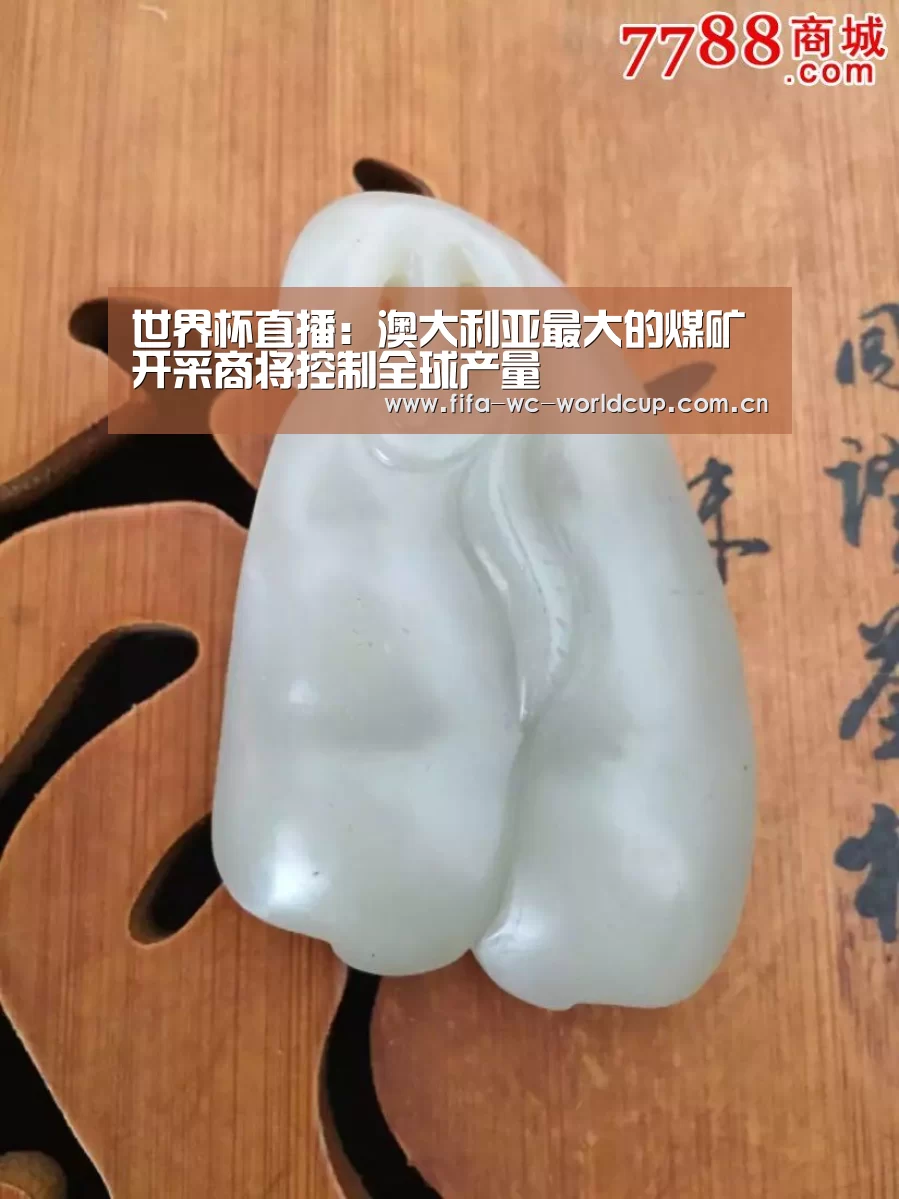 世界杯直播:澳大利亚最大的煤矿开采商将控制全球产量(图2) 世界杯