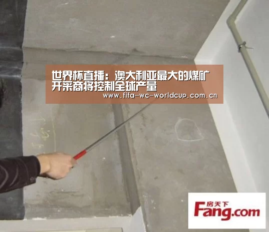 世界杯直播:澳大利亚最大的煤矿开采商将控制全球产量(图3) 比赛集锦