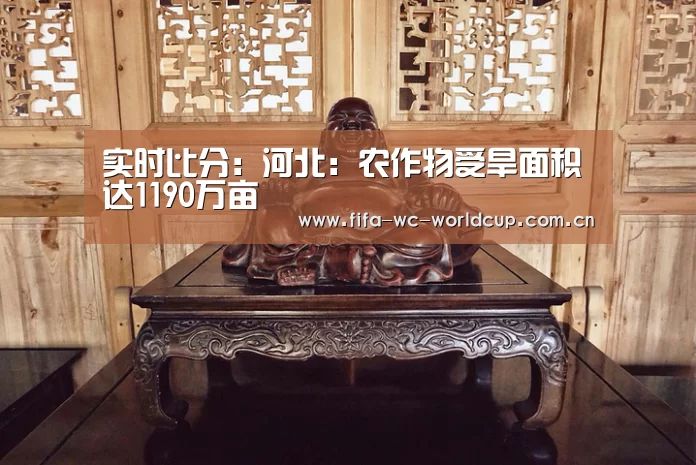 实时比分:河北:农作物受旱面积达1190万亩(图3) 世界杯