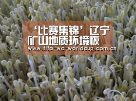 ‘比赛集锦’辽宁矿山地质环境恢复治理取得成效(图1) 比赛集锦